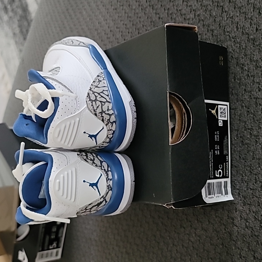 Air Jordan 3 Retro TD Washington Wizards